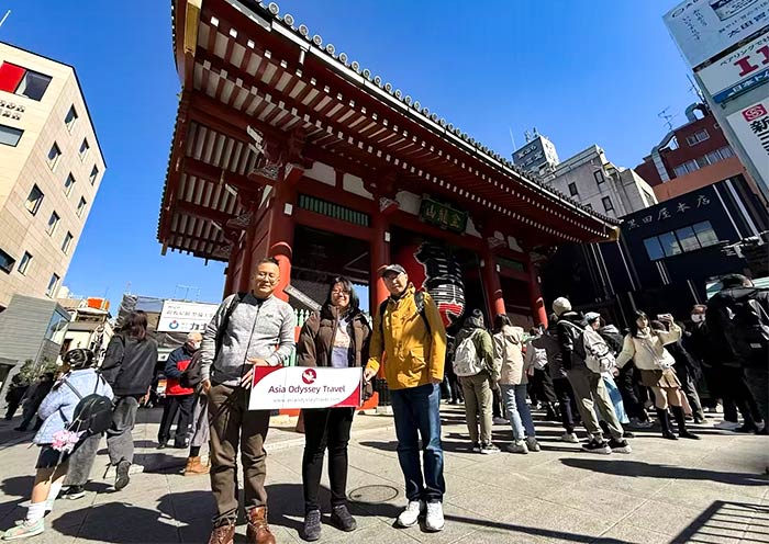 驴妹妹發展曆程