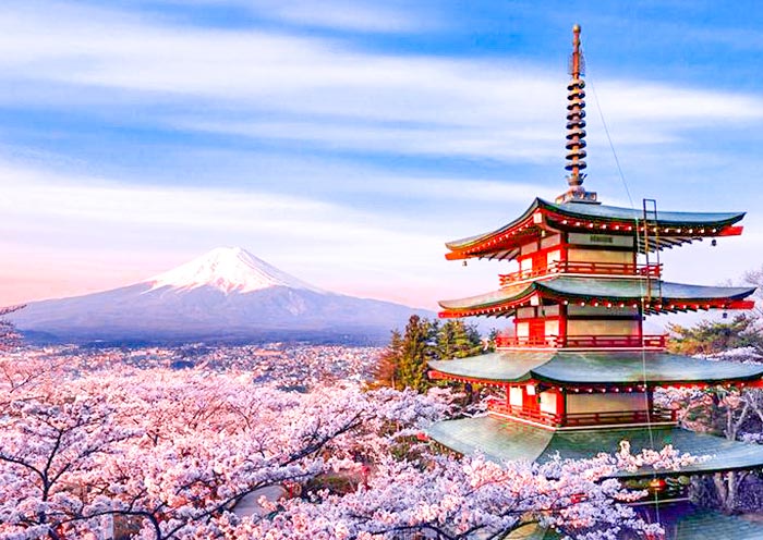 2026日本櫻花季 | 日本東京+富士山+京都+奈良+大阪9天8晚最佳賞櫻之旅
