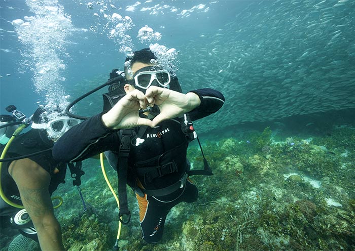 bohol-sardine-run1