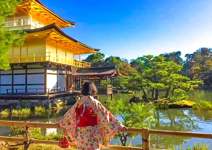 黃金路線 | 日本東京+富士山+京都+奈良+大阪7天6夜精華遊