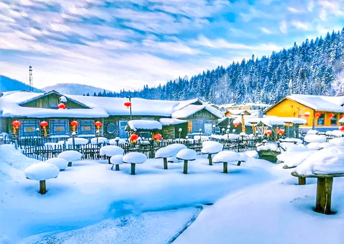 冰雪奇遇 | 哈爾賓+東北虎林員+太陽島+冰雪大世界+中國雪鄉+聖索菲亞大教堂+中央大街經典5日遊