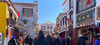 壹個人去西藏拉薩旅遊大概需要准備多少錢？